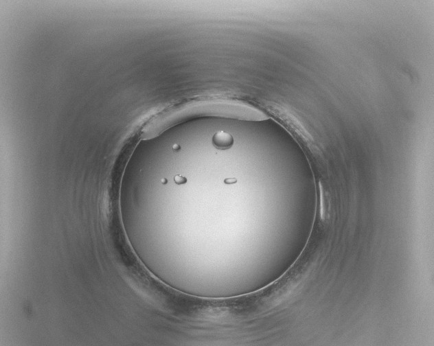 X0000116790252200912241207