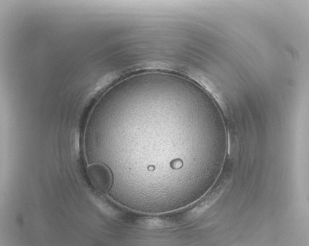 X0000116790253200912241207