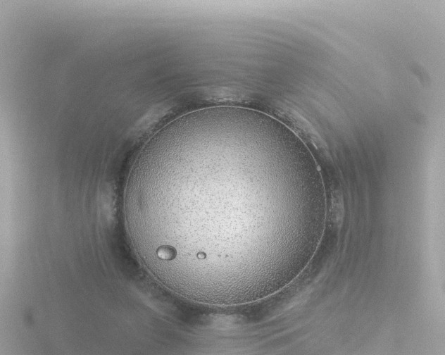 X0000116790255200912241207