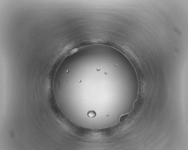 X0000116790260200912241207