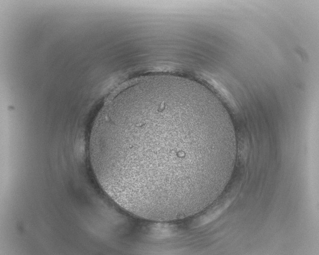 X0000116790261200912241207