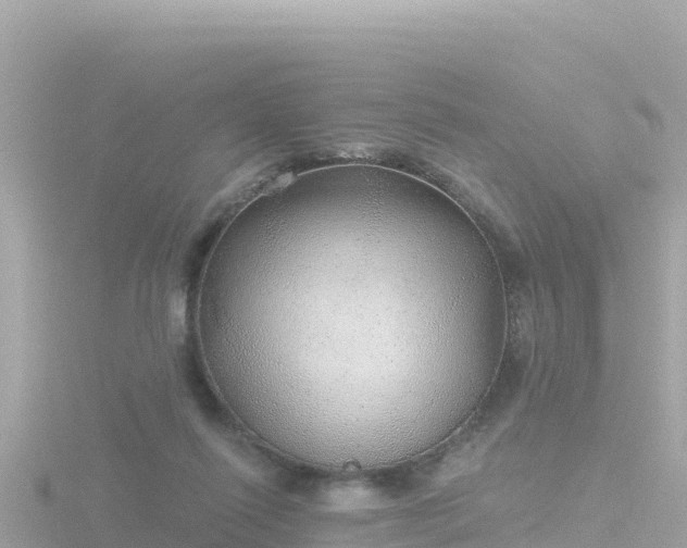 X0000116790262200912241208