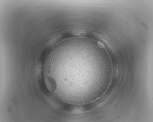 X0000116790263200912241208