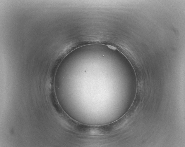 X0000116790264200912241208