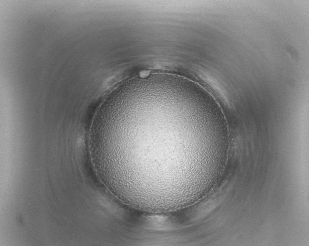 X0000116790265200912241208