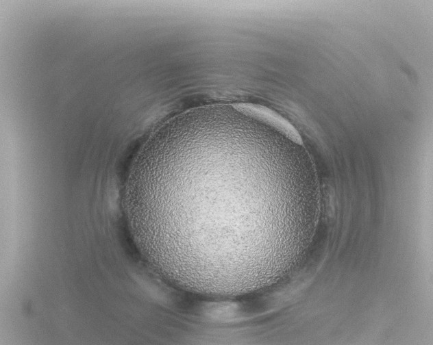 X0000116790266200912241208