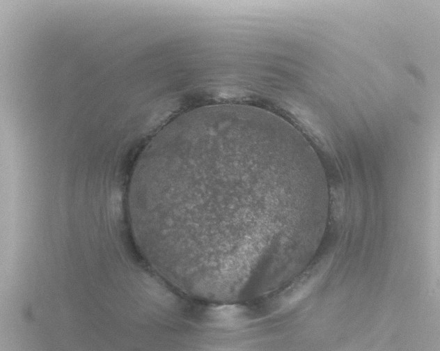 X0000116790269200912241208