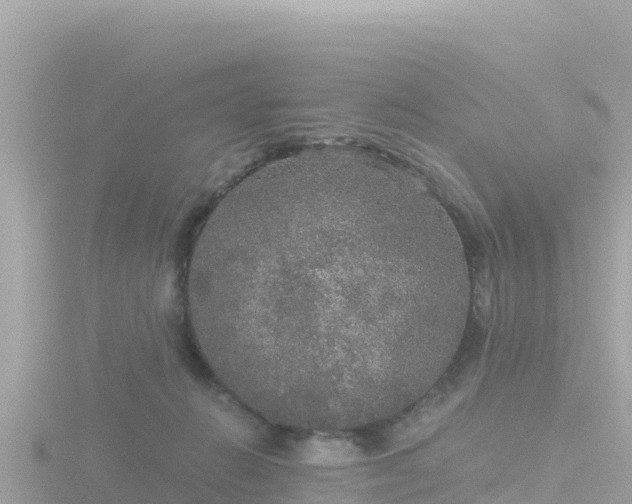 X0000116790270200912241208