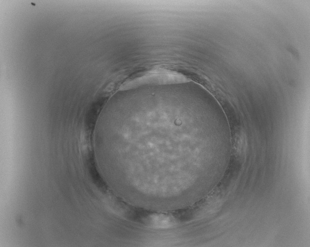 X0000116790272200912241208