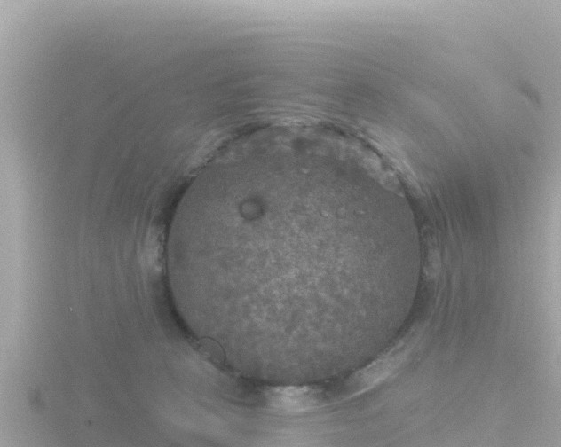 X0000116790273200912241208