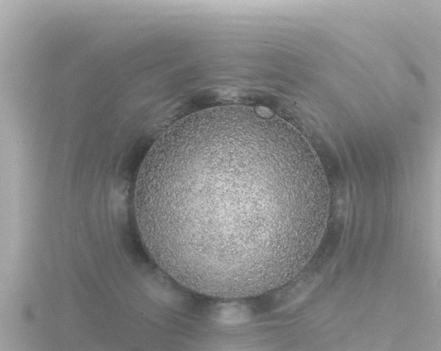 X0000116790275200912241208