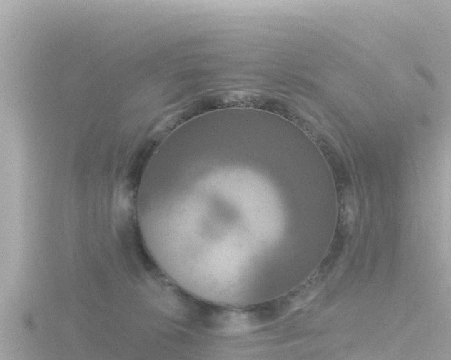 X0000116790276200912241208