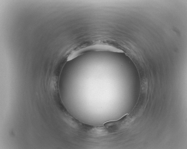 X0000116790280200912241208