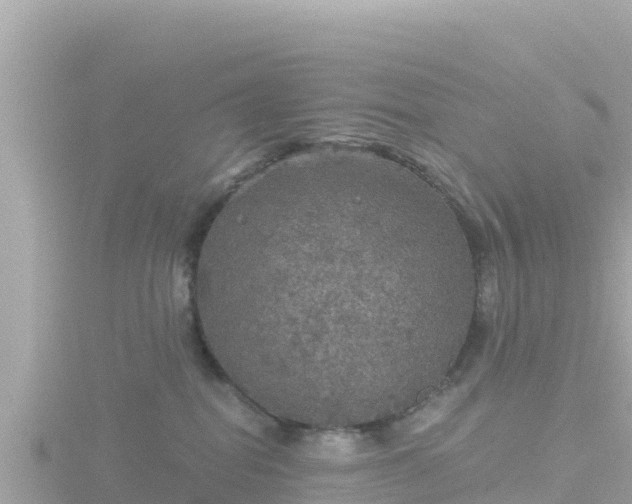 X0000116790282200912241208