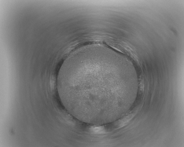 X0000116790283200912241208