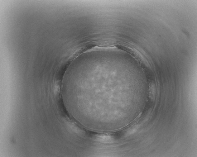 X0000116790284200912241208