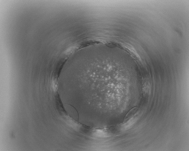 X0000116790285200912241208