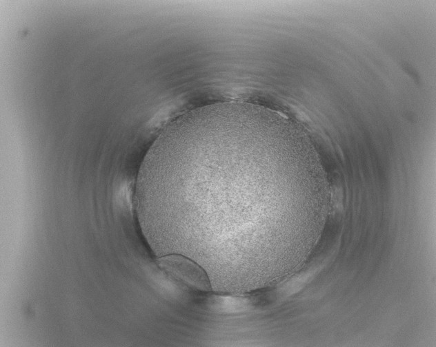 X0000116790286200912241208