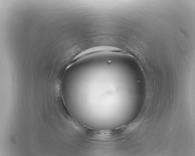 X0000116790288200912241208