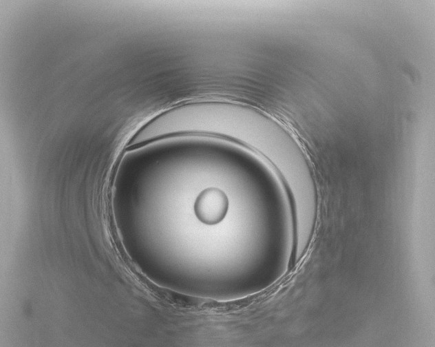 X0000116790289200912241207