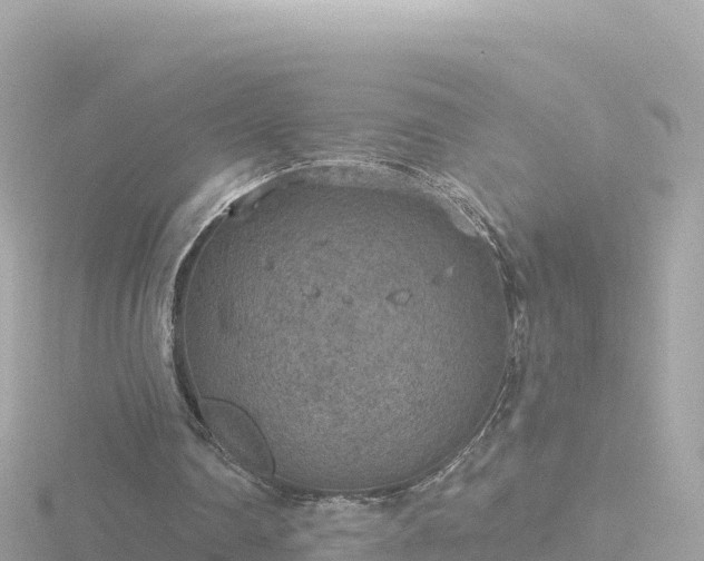 X0000116790290200912241207