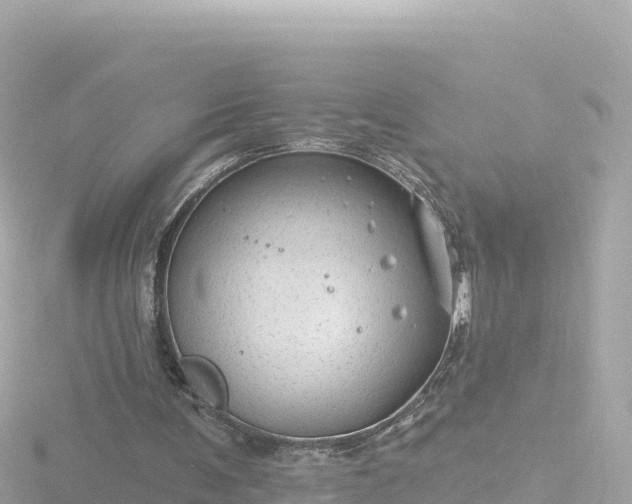 X0000116790291200912241207