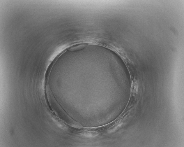 X0000116790292200912241207