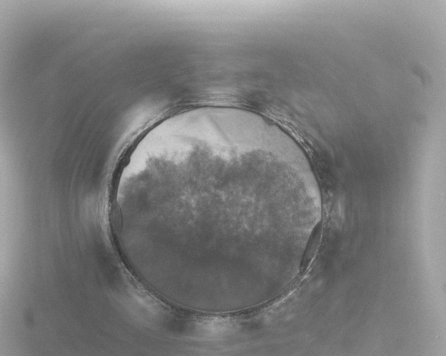 X0000116790293200912241207