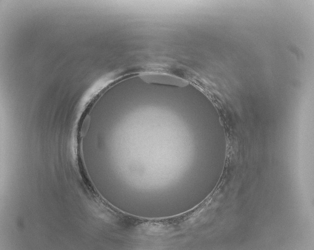 X0000116790294200912241207