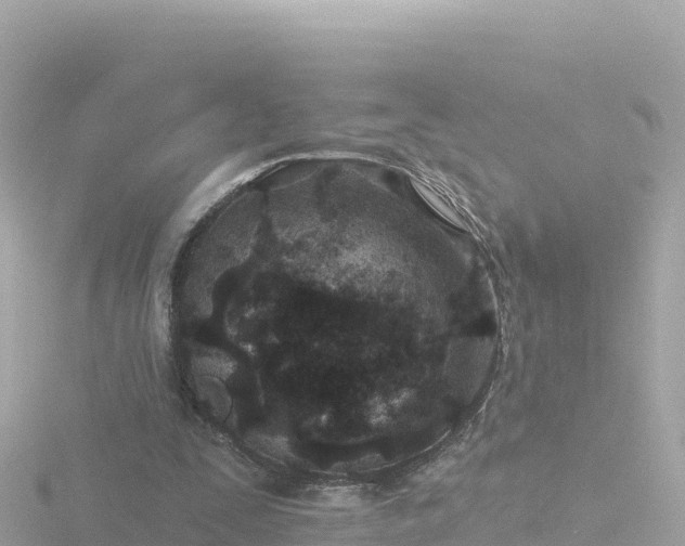 X0000116790295200912241207