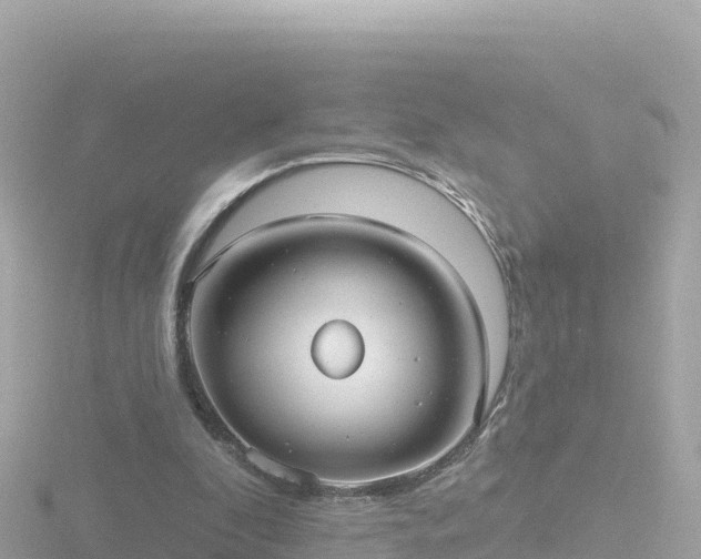 X0000116790296200912241207