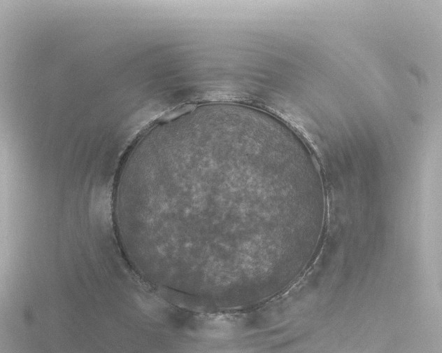 X0000116790297200912241207