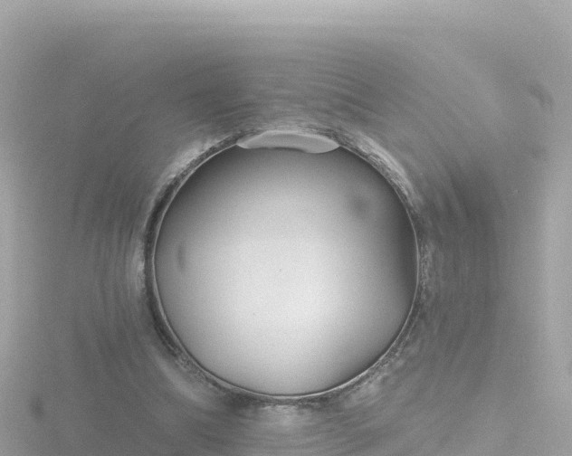 X0000116790298200912241207