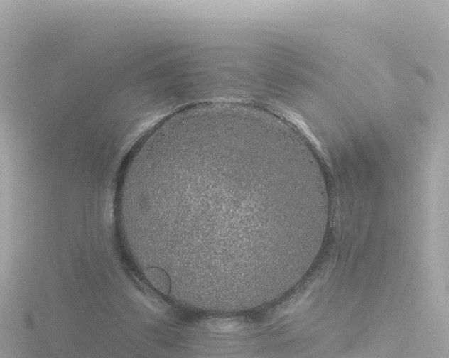 X0000116790299200912241207