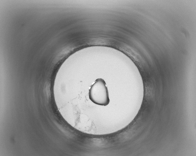 X0000116790302200912241207