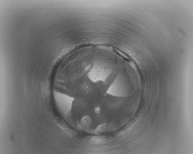 X0000116790303200912241207