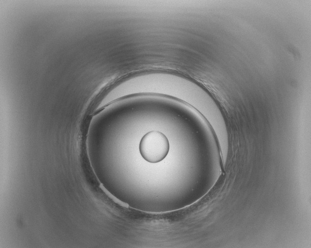 X0000116790304200912241207