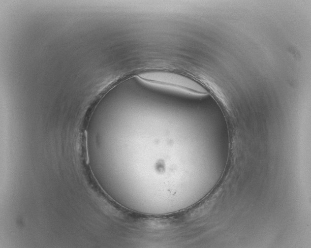 X0000116790305200912241207