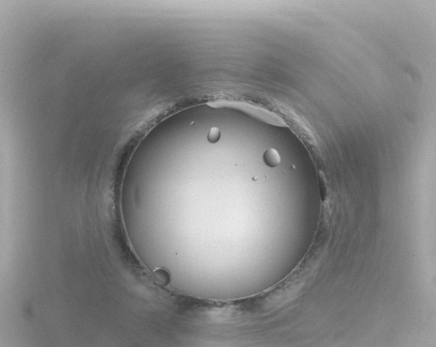 X0000116790306200912241207