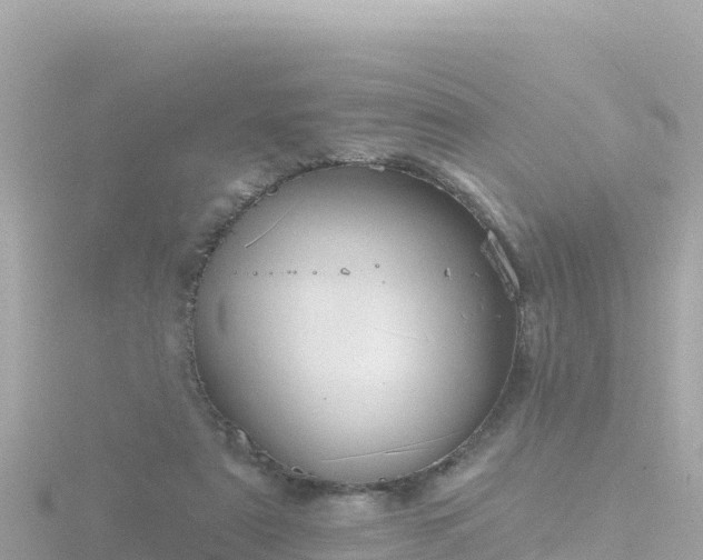 X0000116790307200912241207