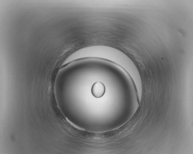 X0000116790308200912241207