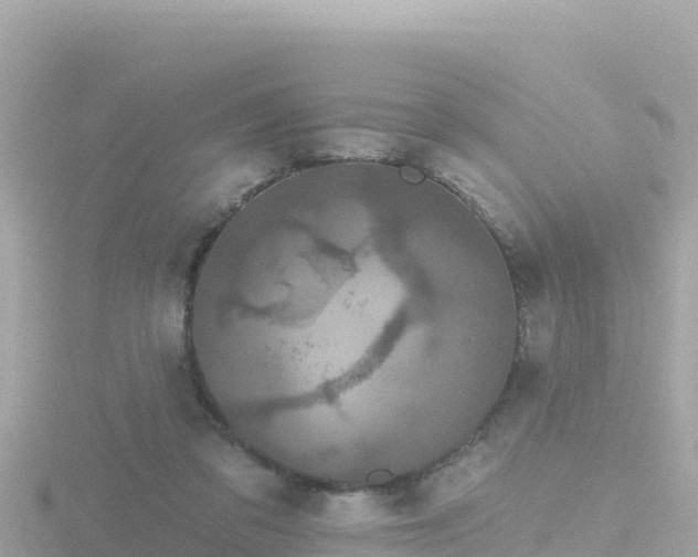 X0000116790309200912241207