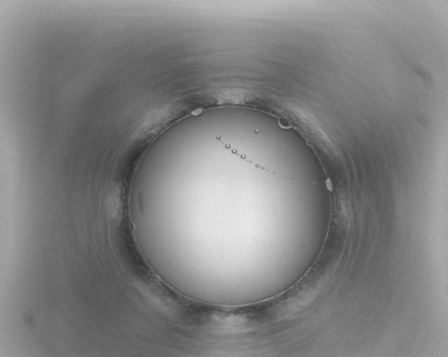 X0000116790311200912241207