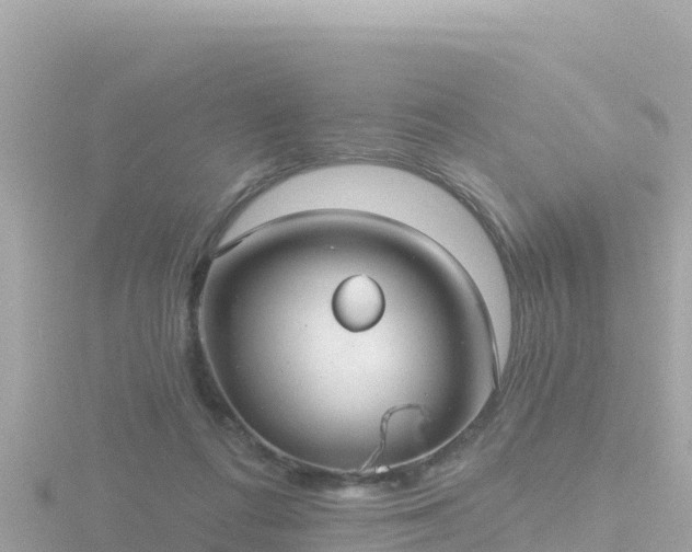 X0000116790312200912241207