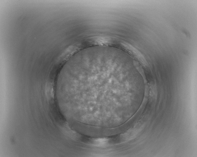 X0000116790313200912241207