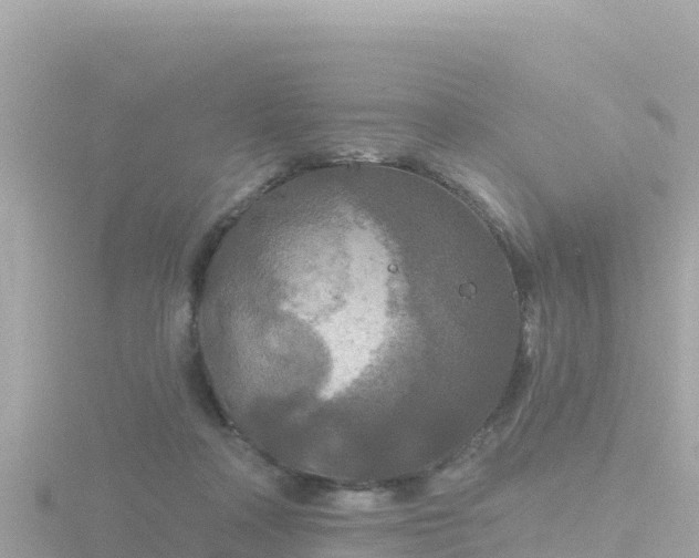 X0000116790314200912241207