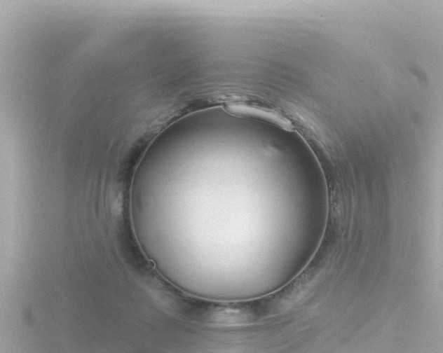 X0000116790315200912241207