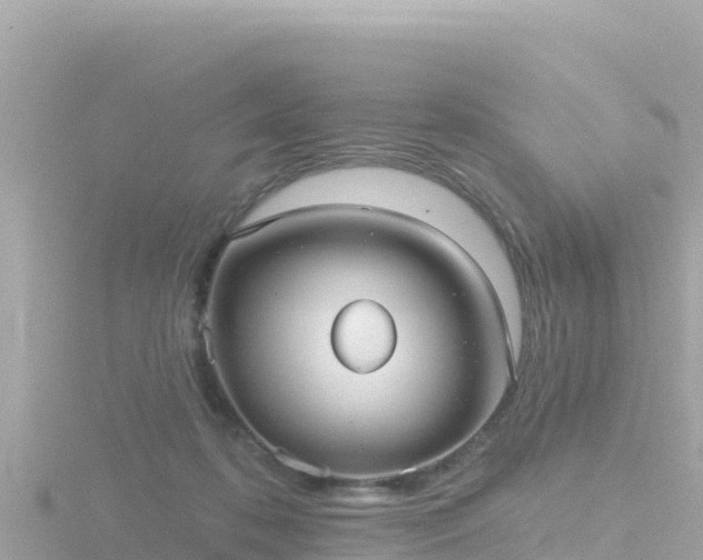 X0000116790316200912241207