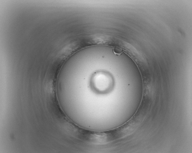 X0000116790317200912241207