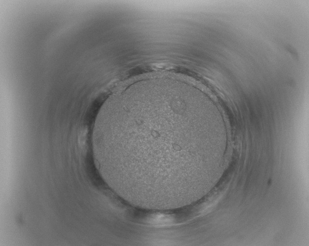 X0000116790319200912241207